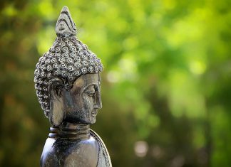 Nghe và không nghe nghe va khong nghe