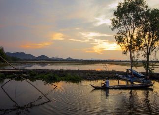 Ngũ đăng hội nguyên – Như trâu kéo xe ngu dang hoi nguyen nhu trau keo xe