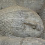 Ngủ ngày ngu ngay
