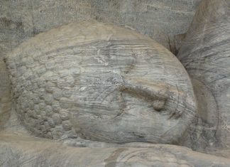 Ngủ ngày ngu ngay