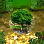 Người Chia Sẻ Với Người Khác Nhiều Nhất nguoi chia se voi nguoi khac nhieu nhat 1
