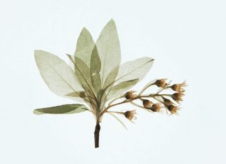 Nguồn Động Viên nguon dong vien
