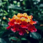 Rửa mặt đổi tâm rua mat doi tam