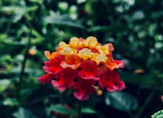 Rửa mặt đổi tâm rua mat doi tam