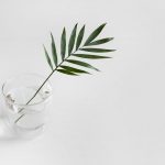Tích đức từ những việc đơn giản sarah dorweiler 2s9aHF4eCjI unsplash