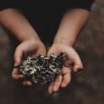 Sự Lựa Chọn Của Mẹ su lua chon cua me