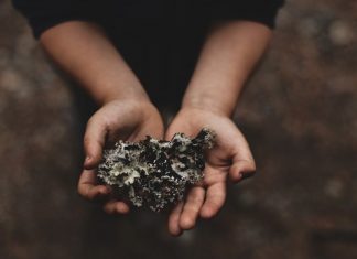 Sự Lựa Chọn Của Mẹ su lua chon cua me