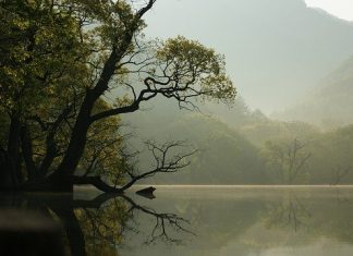 Thiền từng phút thien tung phut