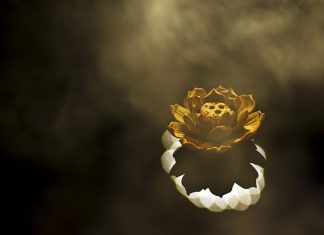 Mẹ từ đâu đến me-tu-dau-den