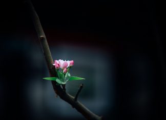 Chiến thắng tự tâm mình Chien thang tu tam minh