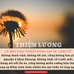 99% Thiện Lương Là Diễn Ra Ở Những Nơi Bạn Không Nhìn Thấy 99 thien luong la dien ra o nhung noi ban khong nhin thay