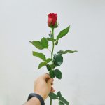 Bà chủ hiền thục Ba chu hien thuc