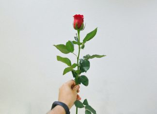 Bà chủ hiền thục Ba chu hien thuc