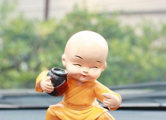 Chim cú mèo Chim cu meo