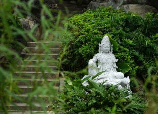 Chuyện âm phủ Chuyen am phu