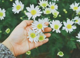 Đi trắng về đen Di trang ve den