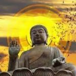 Người yêu muôn thuở Nguoi yeu muon thuo