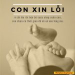 “Cảm ơn các con đã chăm sóc mẹ, nhưng mẹ hối hận vì đã sinh ra các con” con xin loi me