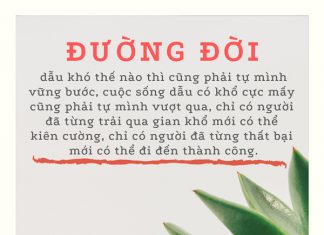 Đường đời duong doi