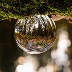 Những Câu Hỏi glass ball 4556170 640