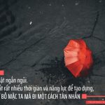 Hạnh phúc ở đây rồi! hanh phuc ngan ngui