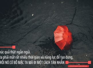 Hạnh phúc ở đây rồi! hanh phuc ngan ngui