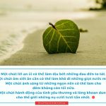 Một Chút Trong Cuộc Đời mot chut trong cuoc doi