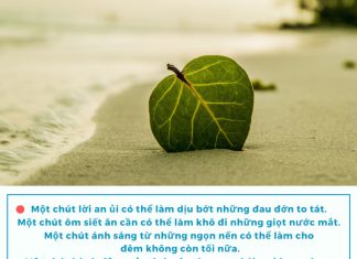 Một Chút Trong Cuộc Đời mot chut trong cuoc doi
