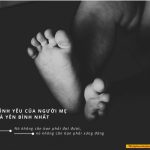 Những câu nói hay về Mẹ nhung cau noi hay ve cha me