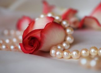 Trầm Hương Và Ngọc Trai rose 3030462 1920