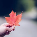 Bữa điểm tâm bằng hồ dán bua-diem-tam-bang-ho-dan