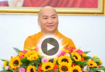 Cha mẹ nuôi con biển trời lai láng co mot tinh thuong vo dieu kien