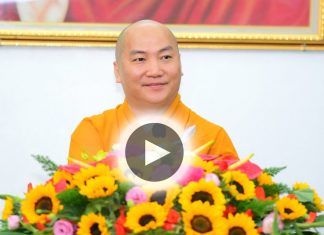 Cha mẹ nuôi con biển trời lai láng co mot tinh thuong vo dieu kien