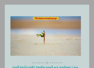 Chớ xem thường việc nhỏ cho xem thuong viec nho