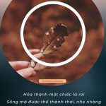 Cuộc sống vốn là một trường đời thử thách đầy khắc nghiệt cuoc song von la truong doi khac nghiet
