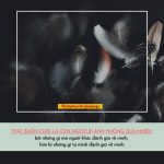 Đã bao giờ bạn tự hỏi bản thân! da bao gio ban tu hoi ban than