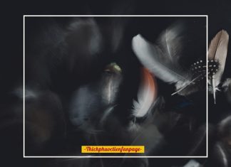 Đã bao giờ bạn tự hỏi bản thân! da bao gio ban tu hoi ban than