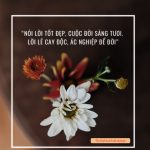 Nếu thật sự yêu bản thân mình, bạn sẽ không bao giờ làm tổn thương người khác dung bao gio ton thuong nguoi khac