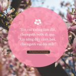 Hãy thắng người bằng đức khiêm cung hay thang nguoi bang duc khiem cung