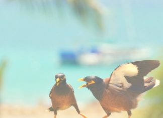 Những câu nói hay về cuộc sống nhung cau noi hay ve cuoc song