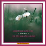 Tâm chúng ta như chú ngựa hoang tam chung ta nhu chu ngua hoang