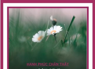 Tâm chúng ta như chú ngựa hoang tam chung ta nhu chu ngua hoang