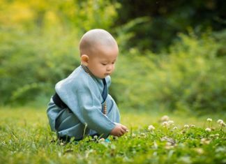 Bộ Tri Ca Tỉnh Ngộ Bo Tri Ca tinh ngo