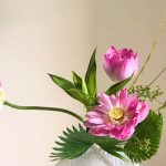 Bốn Đứa Con Bon dua con
