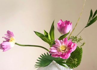 Bốn Đứa Con Bon dua con