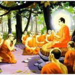 Chú ngựa tinh khôn Chu ngua tinh khon