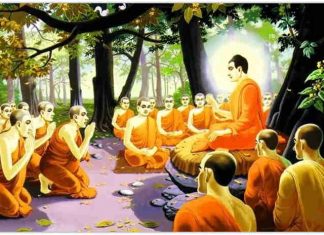 Chú ngựa tinh khôn Chu ngua tinh khon