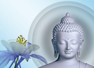 Đại Y Vương Dai y vuong