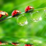 Điều Đáng Lo Nhất Dieu dang lo nhat