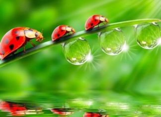 Điều Đáng Lo Nhất Dieu dang lo nhat